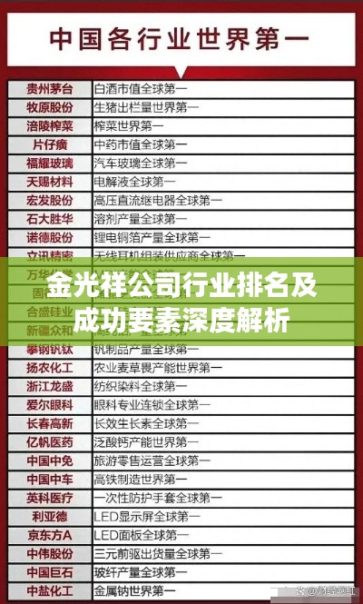 金光祥公司行业排名及成功要素深度解析