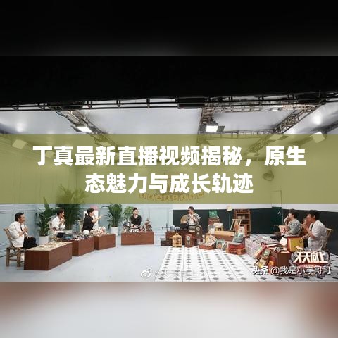 丁真最新直播视频揭秘，原生态魅力与成长轨迹