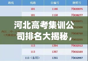 河北高考集训公司排名大揭秘，优质机构榜单，助力学子圆梦高校！