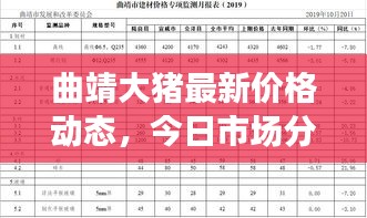 曲靖大猪最新价格动态，今日市场分析及趋势预测