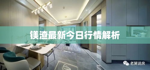 镁渣最新今日行情解析