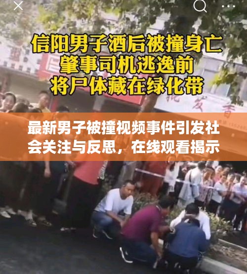 最新男子被撞视频事件引发社会关注与反思，在线观看揭示真相