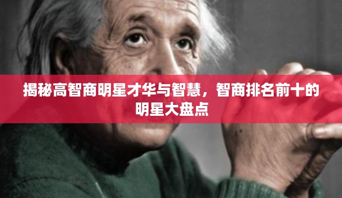揭秘高智商明星才华与智慧，智商排名前十的明星大盘点