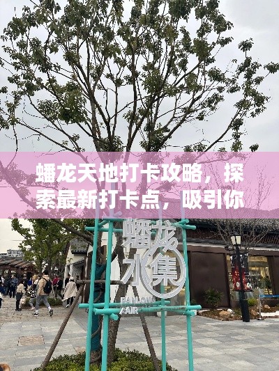 蟠龙天地打卡攻略，探索最新打卡点，吸引你的目光！