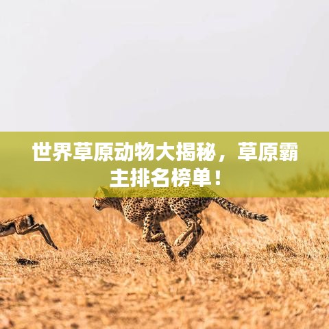 世界草原动物大揭秘，草原霸主排名榜单！