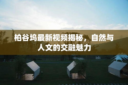 柏谷坞最新视频揭秘，自然与人文的交融魅力