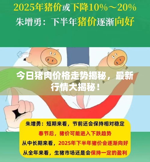 今日猪肉价格走势揭秘，最新行情大揭秘！