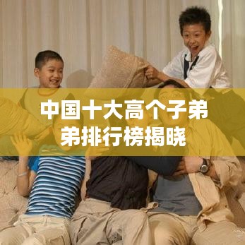 中国十大高个子弟弟排行榜揭晓
