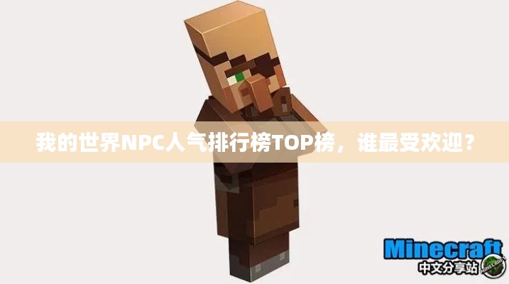 我的世界NPC人气排行榜TOP榜，谁最受欢迎？