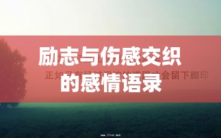 励志与伤感交织的感情语录