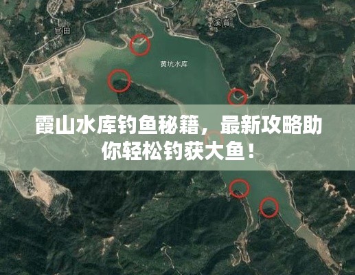 霞山水库钓鱼秘籍，最新攻略助你轻松钓获大鱼！