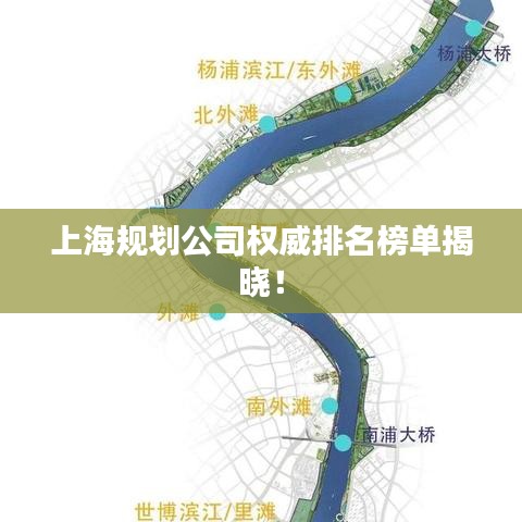 上海规划公司权威排名榜单揭晓！