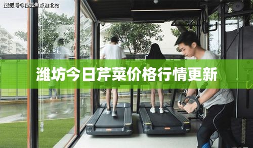 潍坊今日芹菜价格行情更新