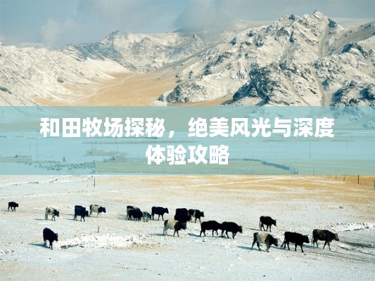 和田牧场探秘，绝美风光与深度体验攻略
