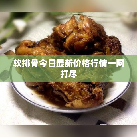 软排骨今日最新价格行情一网打尽