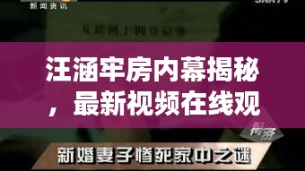 汪涵牢房内幕揭秘，最新视频在线观看全记录