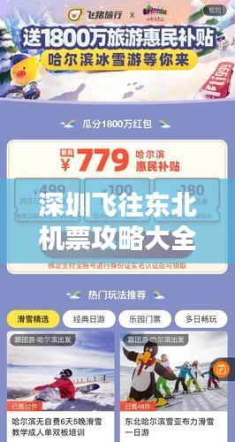 深圳飞往东北机票攻略大全，最新指南助你轻松出行