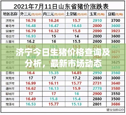济宁今日生猪价格查询及分析，最新市场动态