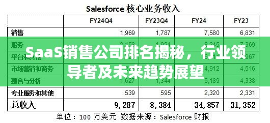 SaaS销售公司排名揭秘，行业领导者及未来趋势展望
