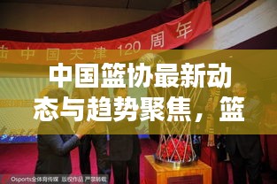 中国篮协最新动态与趋势聚焦，篮球界新闻头条热议