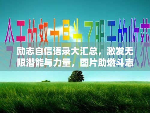 益胶泥 第6页