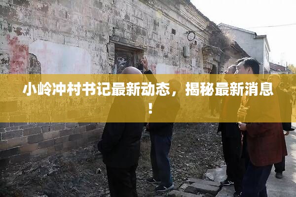 小岭冲村书记最新动态，揭秘最新消息！