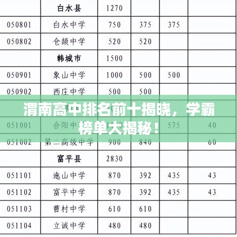 渭南高中排名前十揭晓，学霸榜单大揭秘！