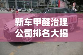 新车甲醛治理公司排名大揭秘！