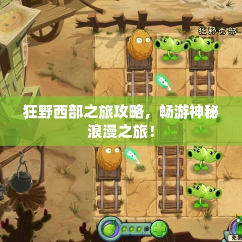 狂野西部之旅攻略，畅游神秘浪漫之旅！