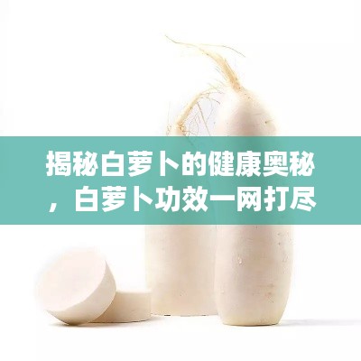 揭秘白萝卜的健康奥秘，白萝卜功效一网打尽！