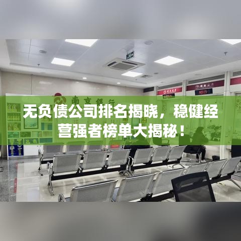 无负债公司排名揭晓，稳健经营强者榜单大揭秘！