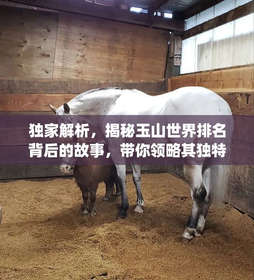 独家解析，揭秘玉山世界排名背后的故事，带你领略其独特魅力