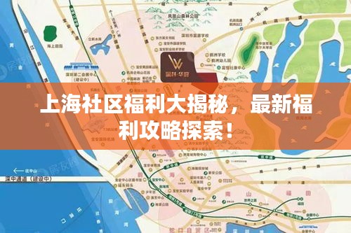 上海社区福利大揭秘，最新福利攻略探索！