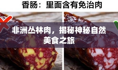 工程案例 第5页