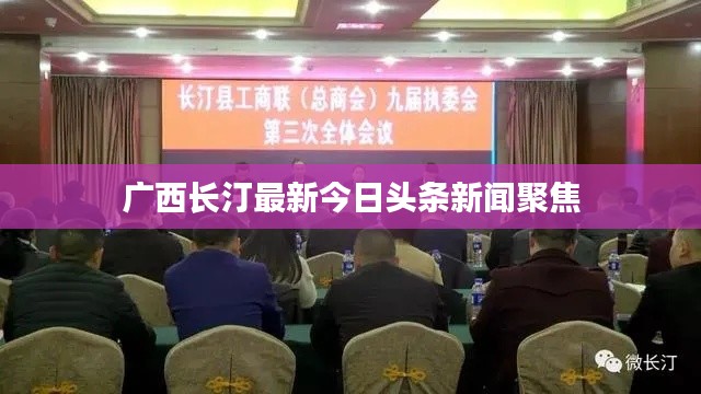 广西长汀最新今日头条新闻聚焦