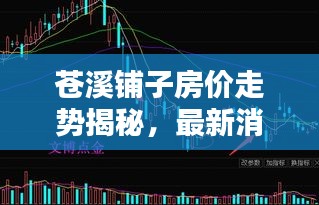 苍溪铺子房价走势揭秘，最新消息与趋势分析