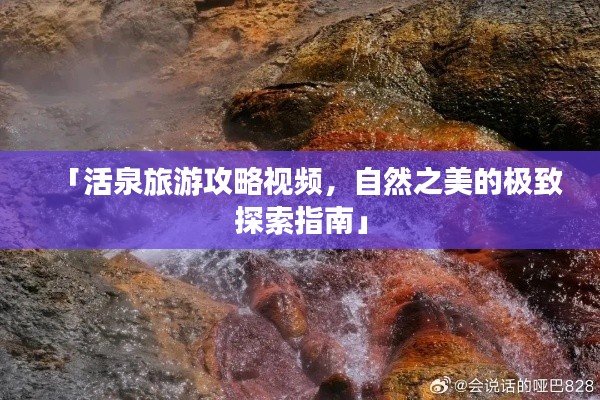 「活泉旅游攻略视频，自然之美的极致探索指南」