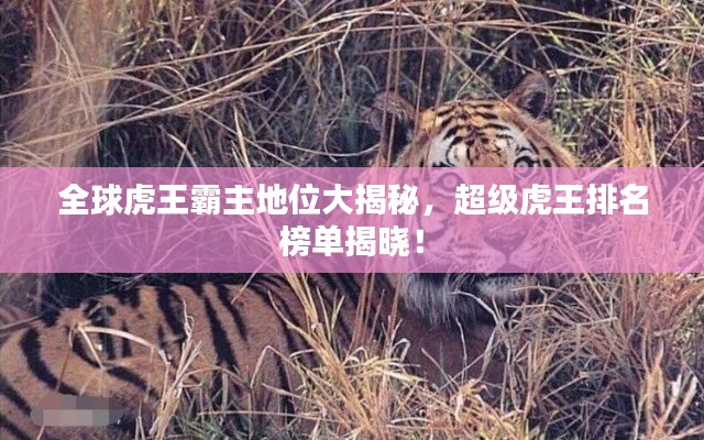 全球虎王霸主地位大揭秘，超级虎王排名榜单揭晓！