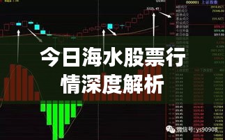 今日海水股票行情深度解析