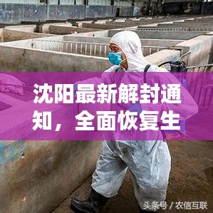 沈阳最新解封通知，全面恢复生产生活秩序启动