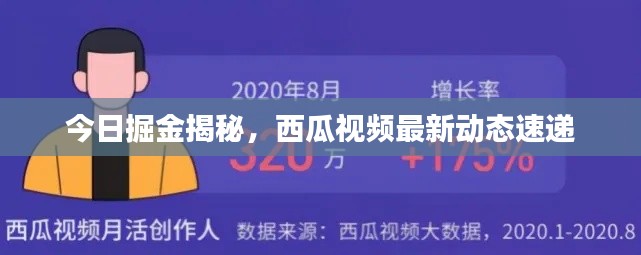 今日掘金揭秘，西瓜视频最新动态速递