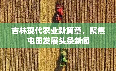 吉林现代农业新篇章，聚焦屯田发展头条新闻