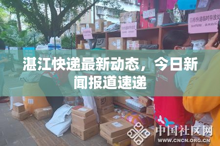 湛江快递最新动态，今日新闻报道速递