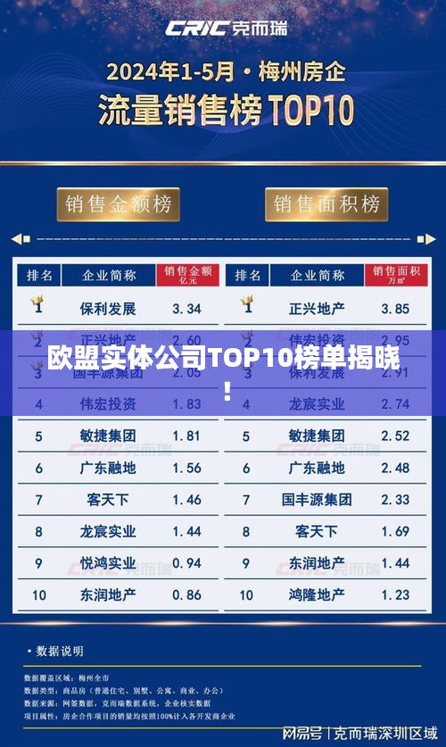 欧盟实体公司TOP10榜单揭晓！