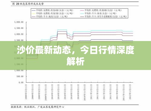 沙价最新动态，今日行情深度解析