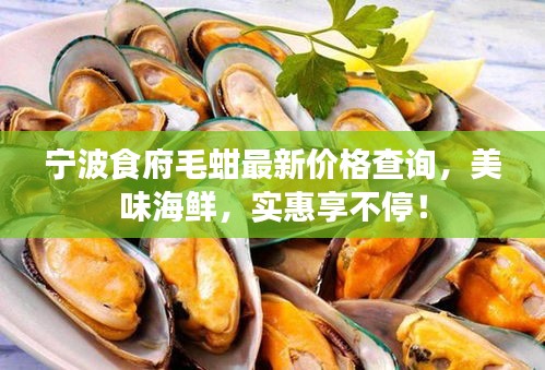 宁波食府毛蚶最新价格查询，美味海鲜，实惠享不停！