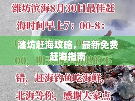 潍坊赶海攻略，最新免费赶海指南