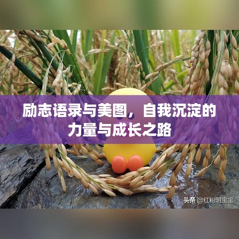 励志语录与美图，自我沉淀的力量与成长之路