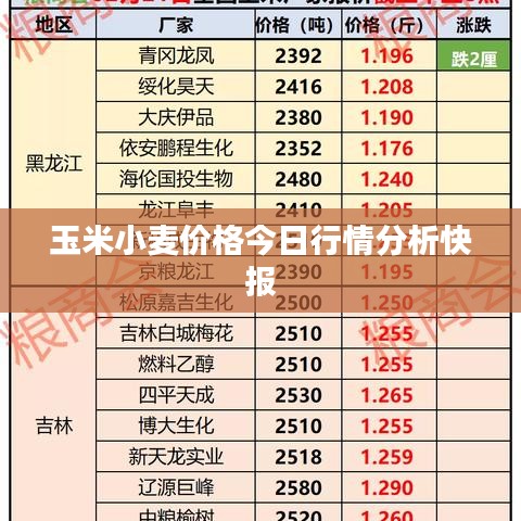 玉米小麦价格今日行情分析快报