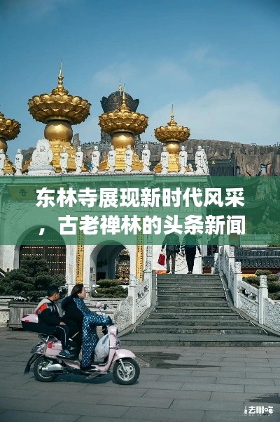 东林寺展现新时代风采，古老禅林的头条新闻